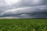 gust-front-mike-theissscience-photo-library-2433258107.jpg