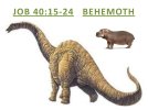 behemoth.jpg