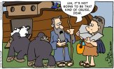 noah 1 cf.jpg