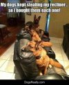 Recliners-3134006614.jpg