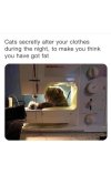 alter.jpg
