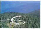 clingmans dome.jpg