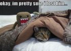 8d03707631b0bbe1fee0b106ff9386d1.jpg