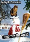 cat snowman.jpg