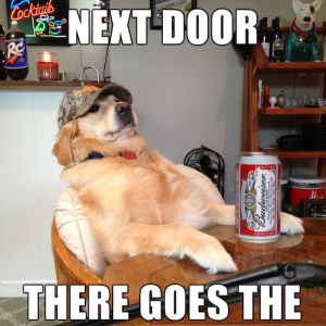 funny-pics-of-redneck-retriever-meme-funny-memes-05.png