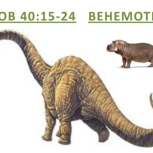 behemoth.jpg