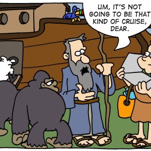 noah 1 cf.jpg