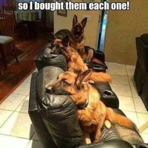 Recliners-3134006614.jpg