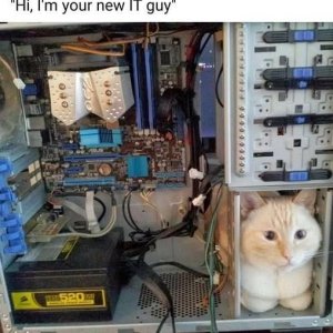 It Guy cb.jpg