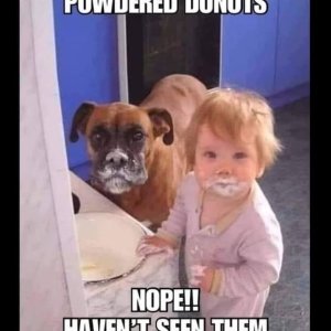 donuts 5 cb.jpg