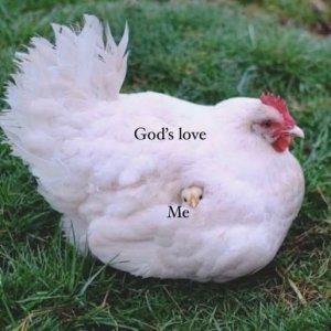 love.jpg