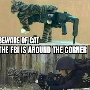 63c07a4c0fb24.jpg