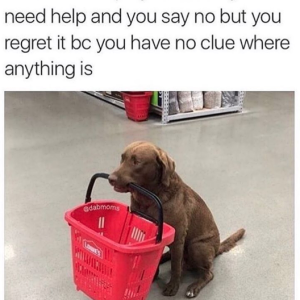 80318-w740.png