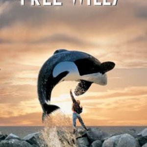 free-willy-ef32c0c1-690f-4ab1-add4-d5bf57c87f5-resize-750.jpg