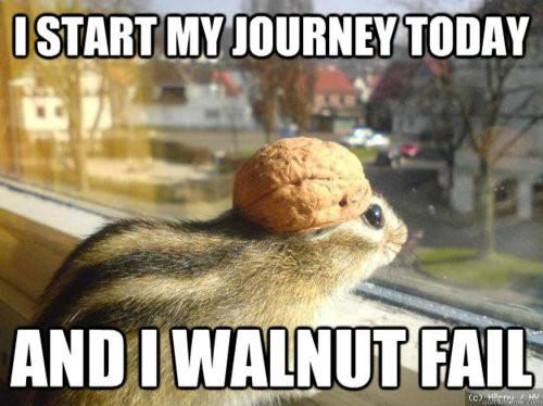 7c26d90d7cf8652f77585ee3a02448a1--funny-memes-funny-pics.jpg