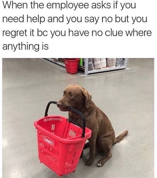 80318-w740.png