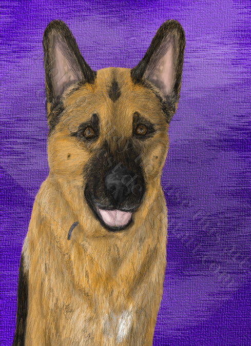 d7ibd7w-8e5d20b7-0788-4458-b3ef-0434f6ebaed6.png