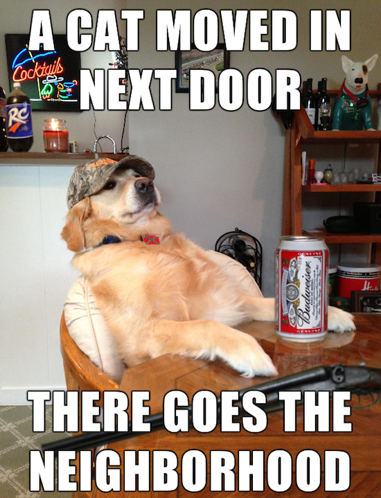 funny-pics-of-redneck-retriever-meme-funny-memes-05.png