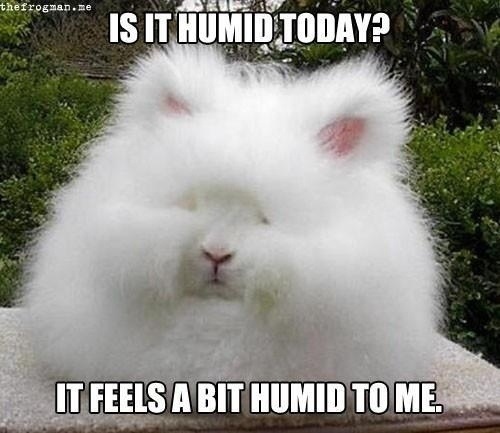 Humidity-.jpg