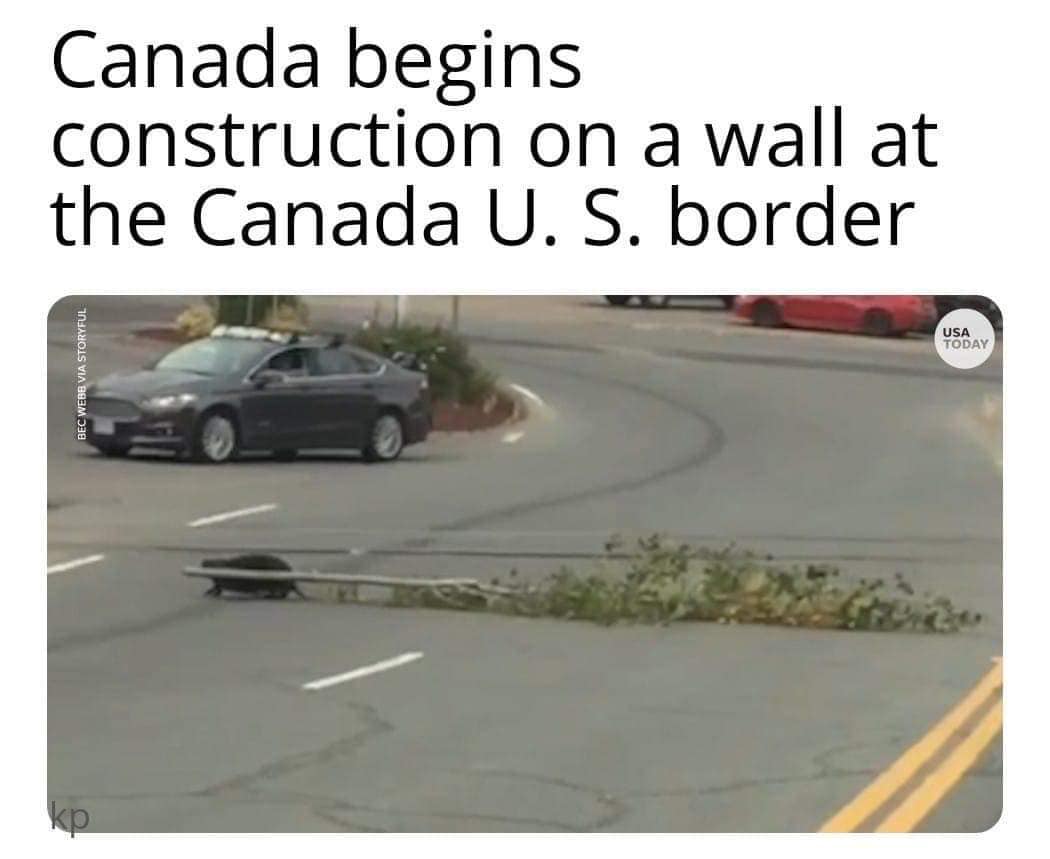 yyY9ujA.jpg